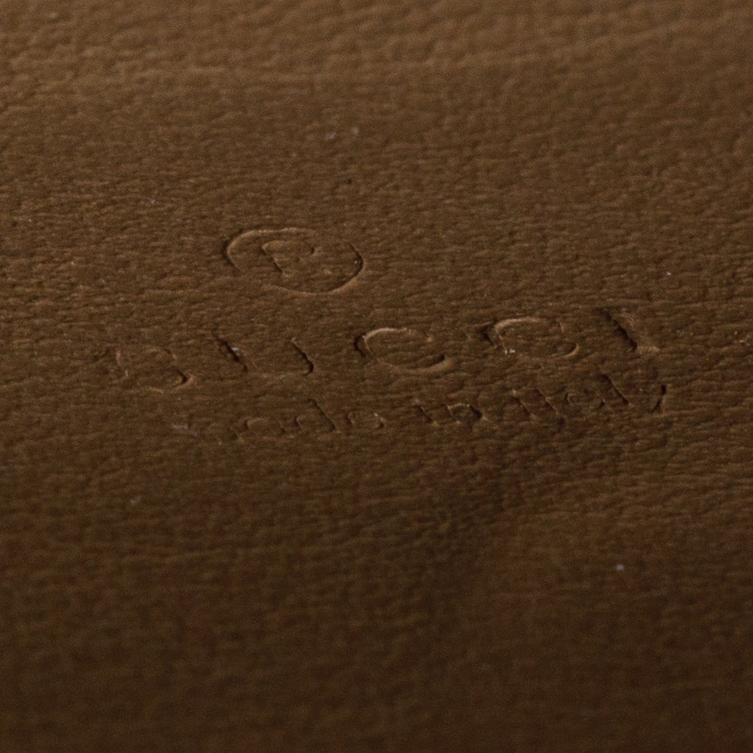 Gucci Dionysus GG Supreme Wallet on Chain w/ Box