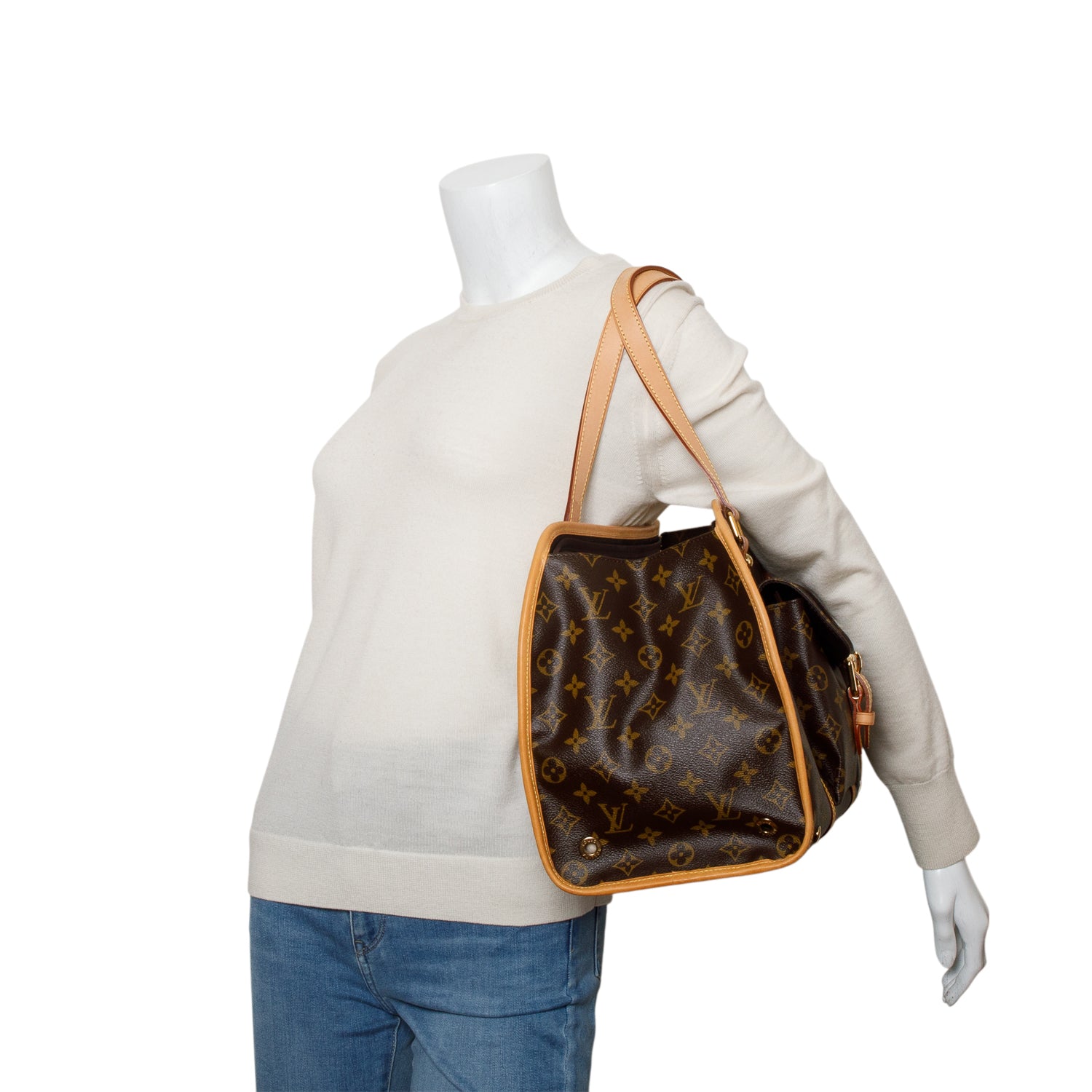 Louis Vuitton Monogram Baxter GM Dog Pet Carrier