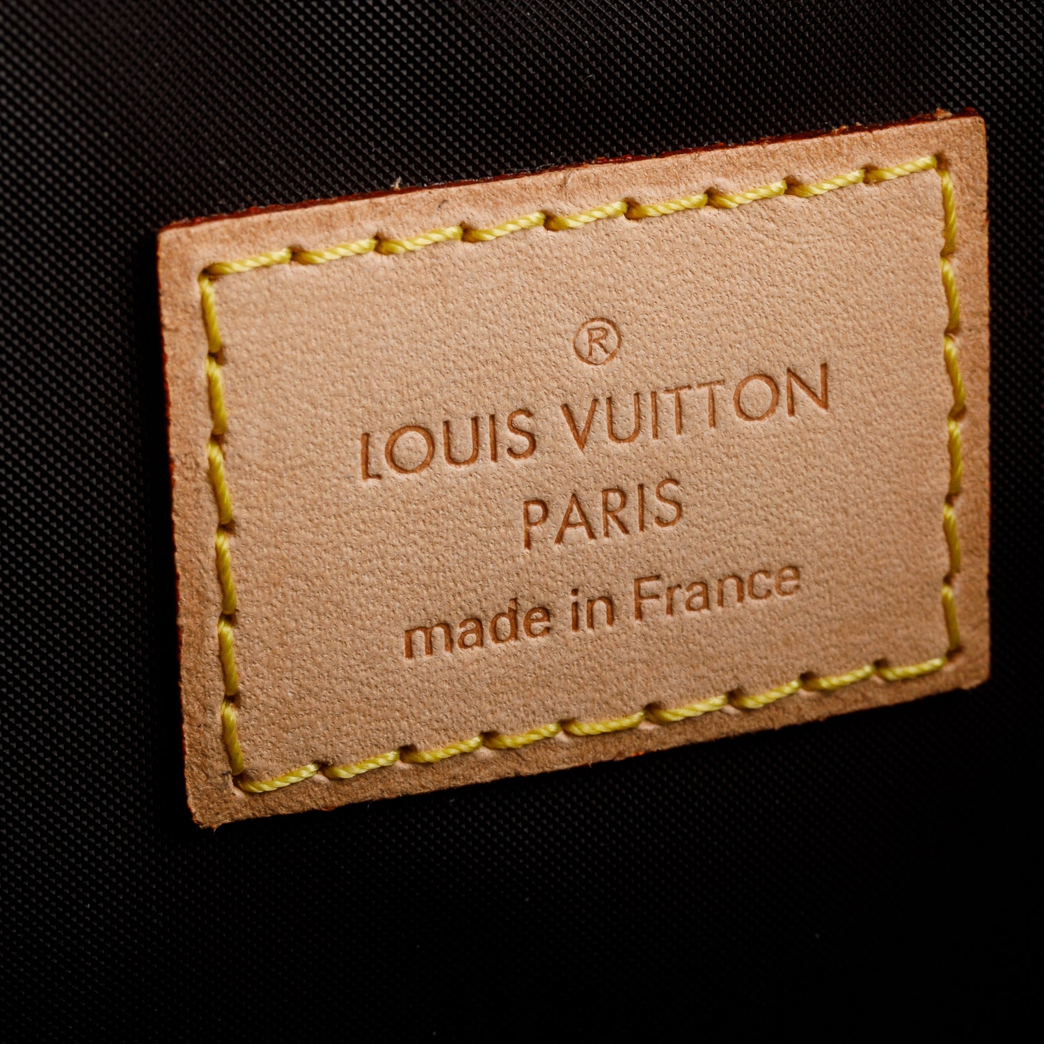 Louis Vuitton Monogram Baxter GM Dog Pet Carrier