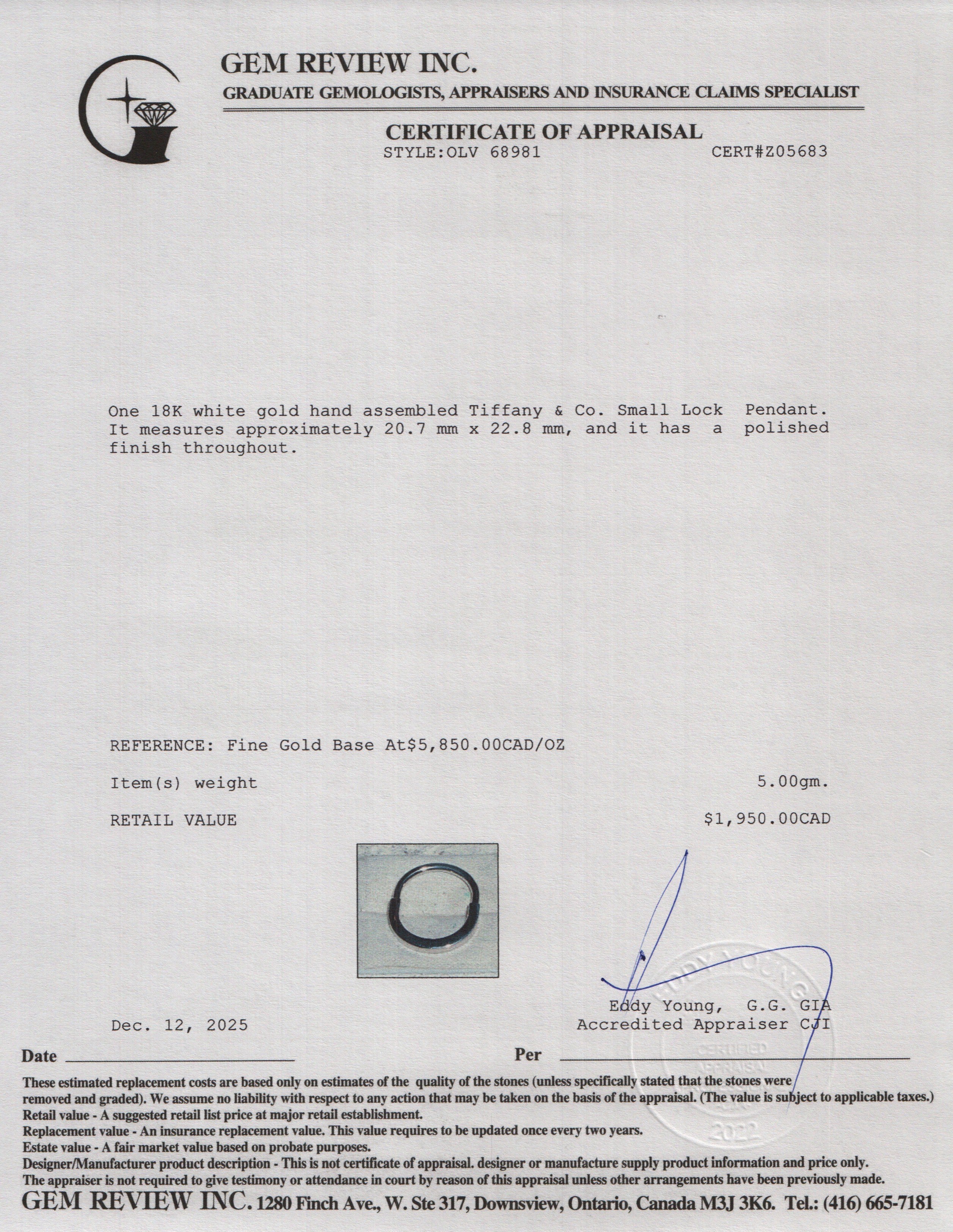 Tiffany & Co. 2025 18k White Gold Small Lock Pendant w/ Box & Receipt