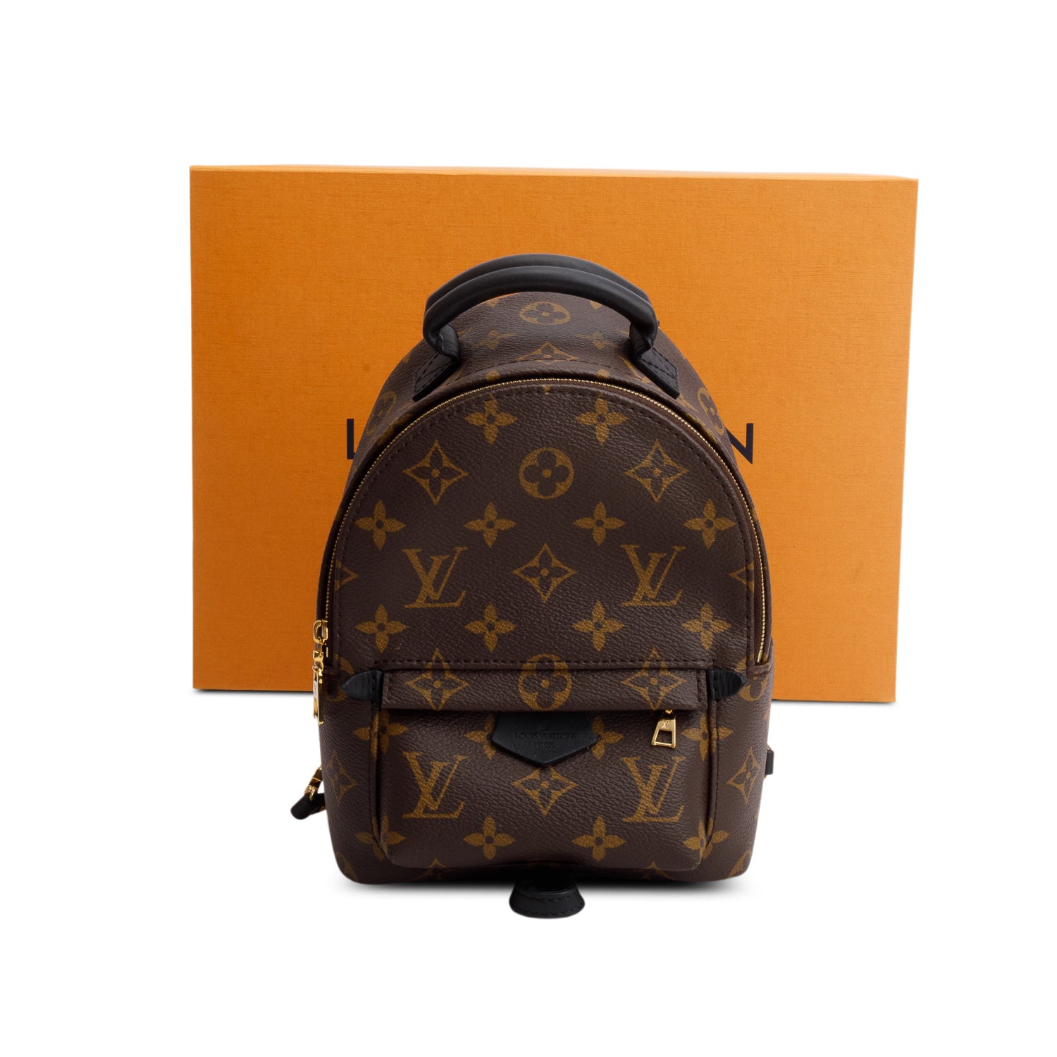 Louis Vuitton 2021 Monogram Palm Springs Mini Backpack w/ Box
