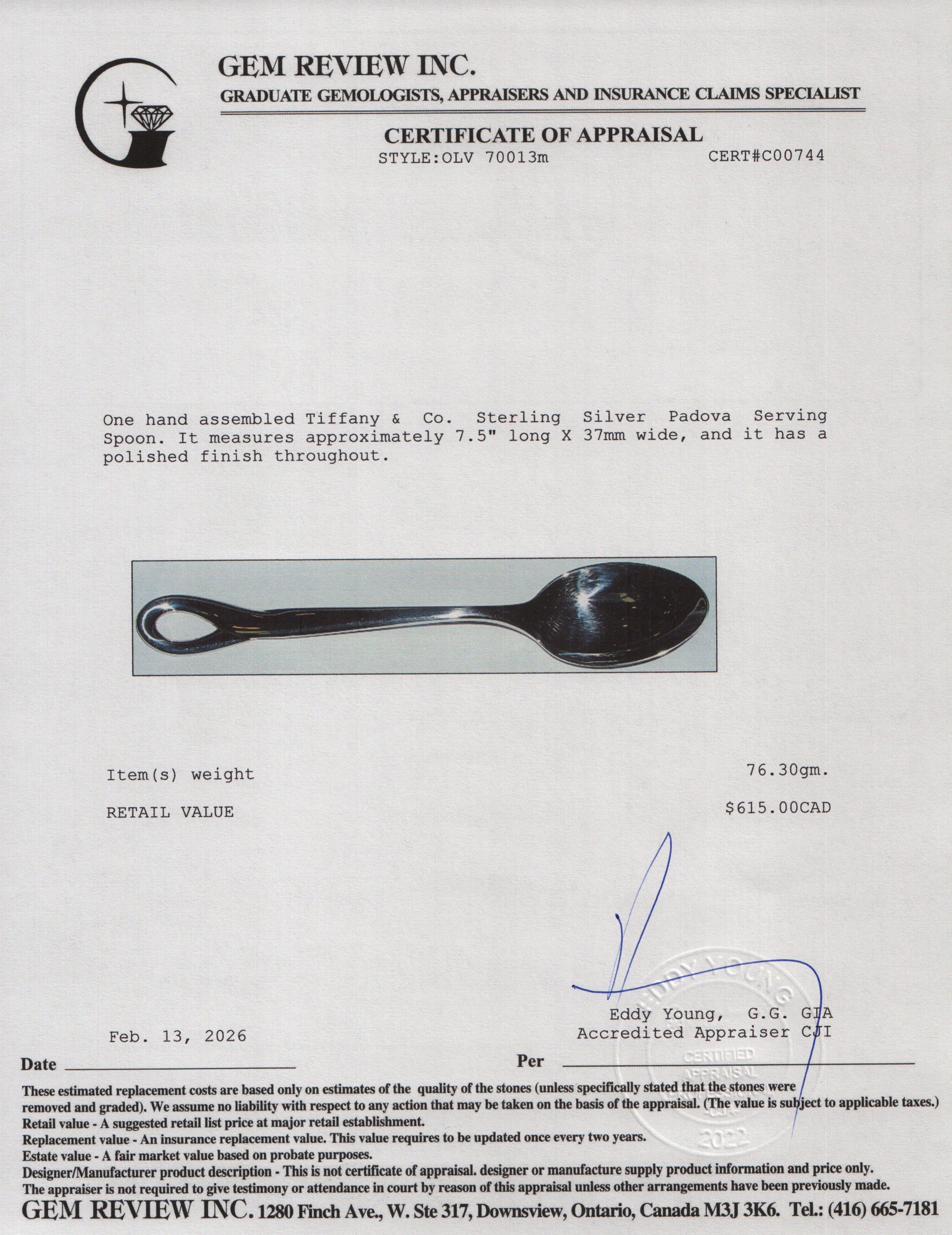 Tiffany & Co. Sterling Silver Padova Serving Spoon