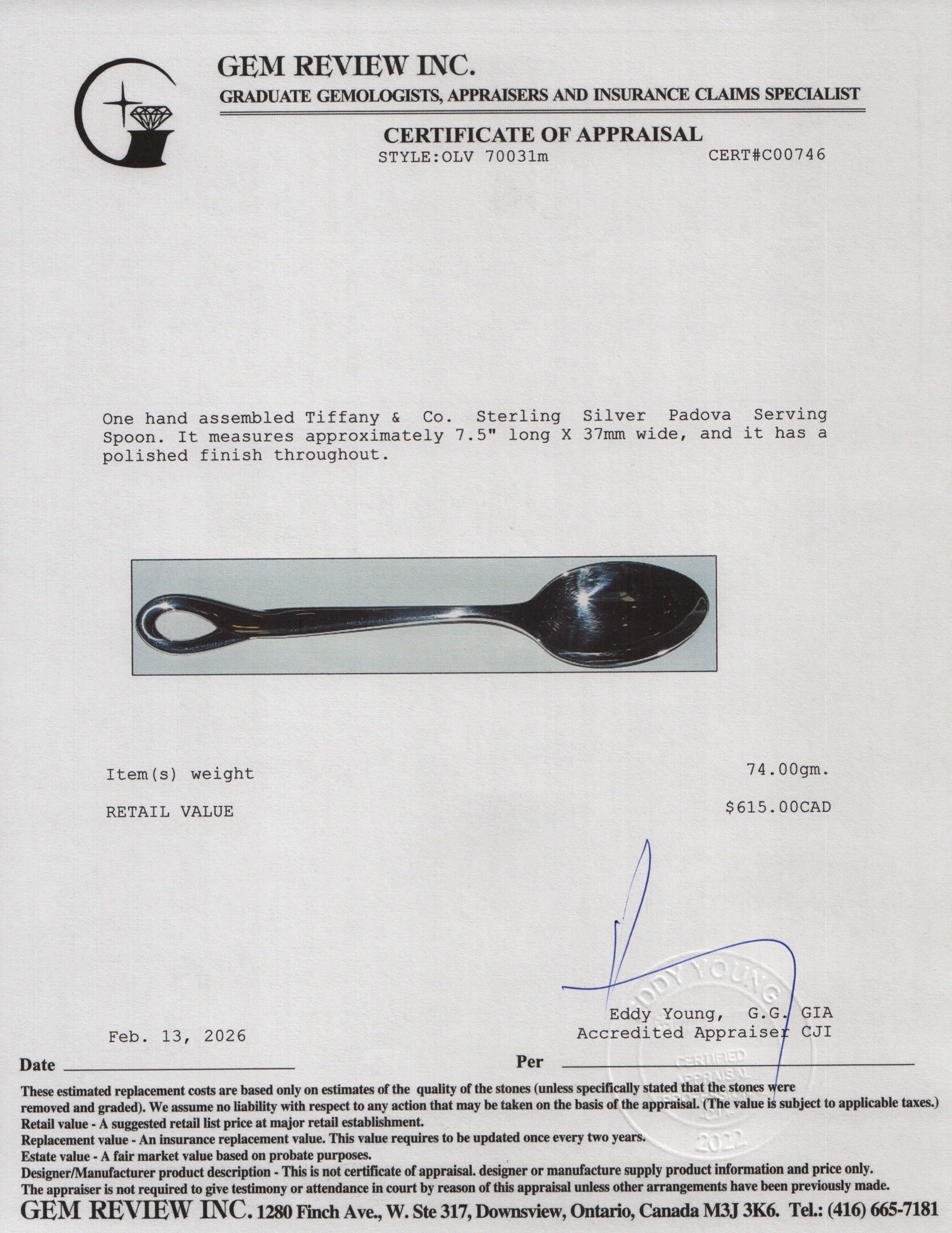 Tiffany & Co. Sterling Silver Padova Serving Spoon