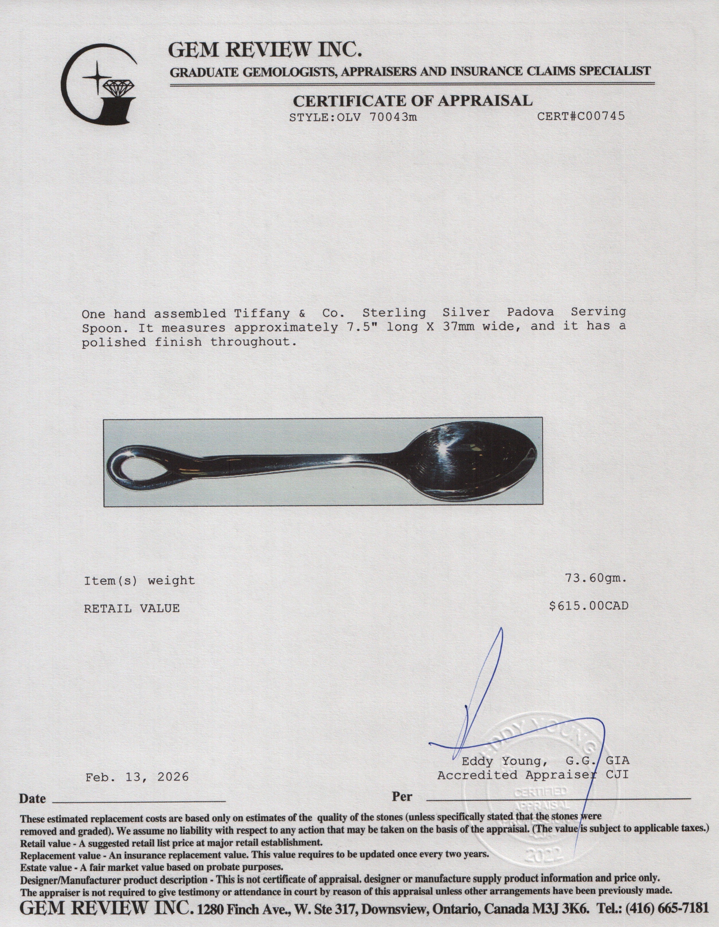 Tiffany & Co. Sterling Silver Padova Serving Spoon