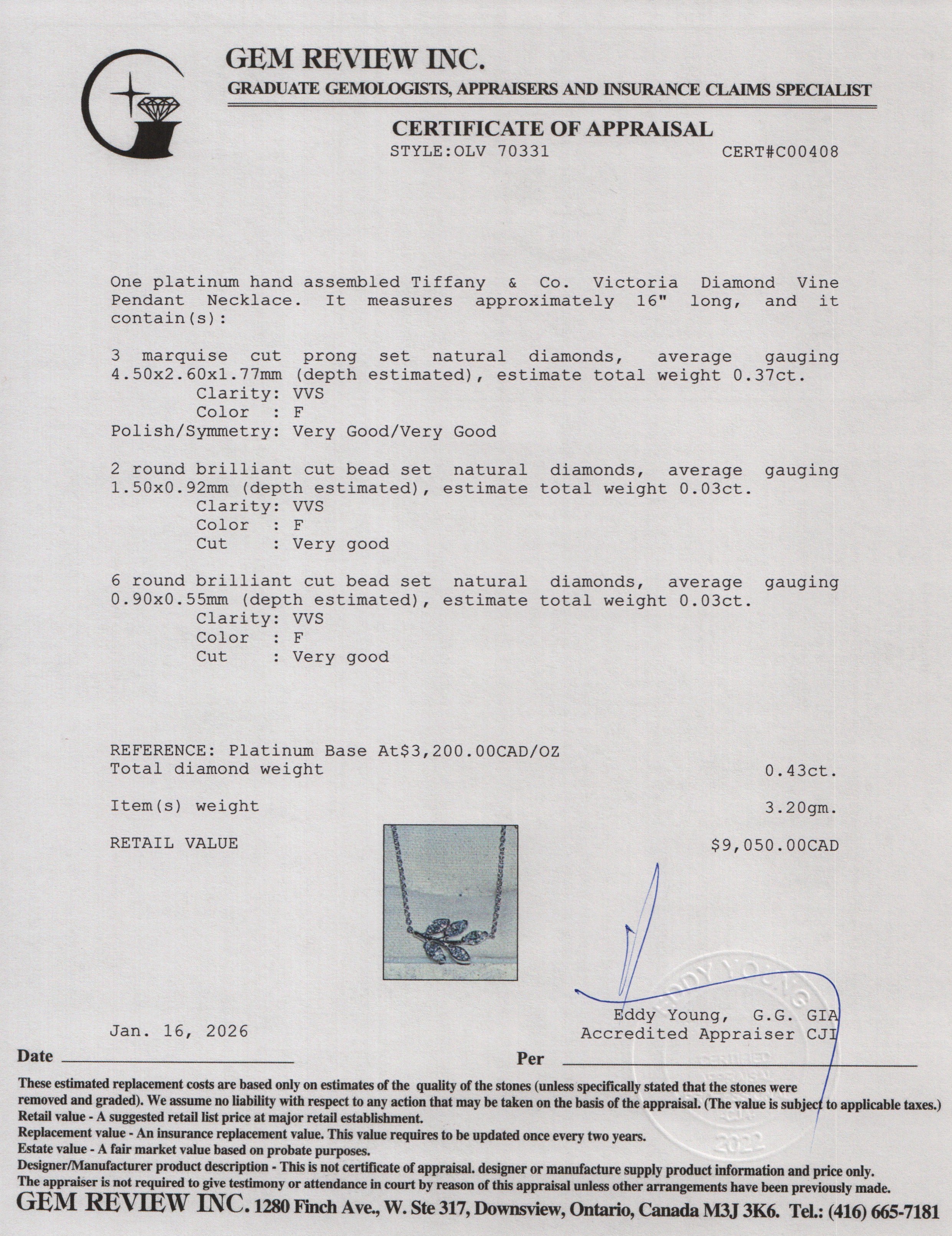 Tiffany & Co. Victoria Platinum Diamond Vine Pendant Necklace w/ Box