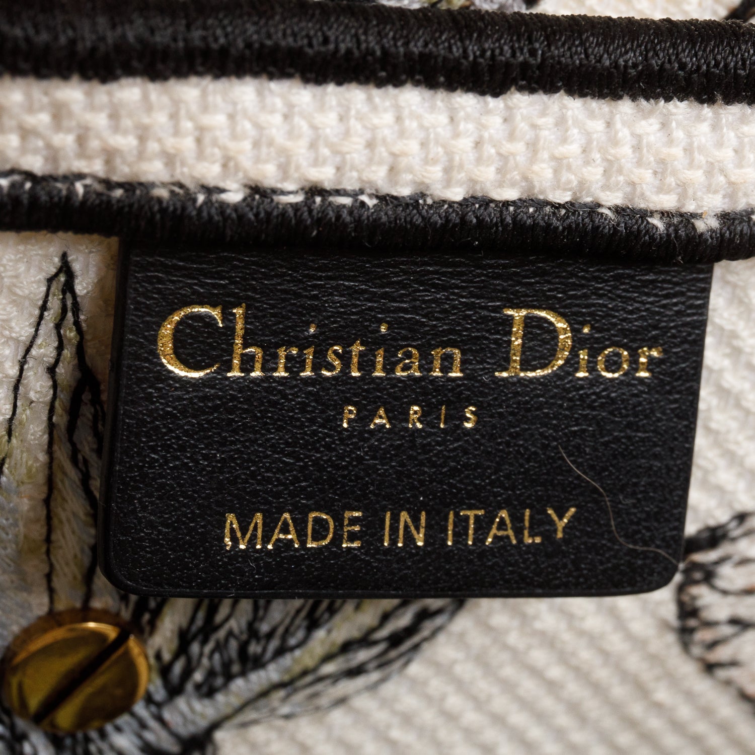 Christian Dior 2023 Multicolor Canvas Embroidered Saddle Bag