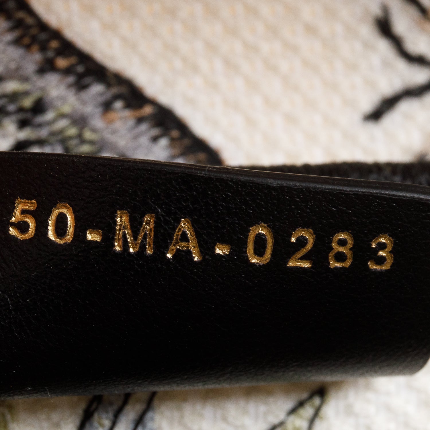 Christian Dior 2023 Multicolor Canvas Embroidered Saddle Bag