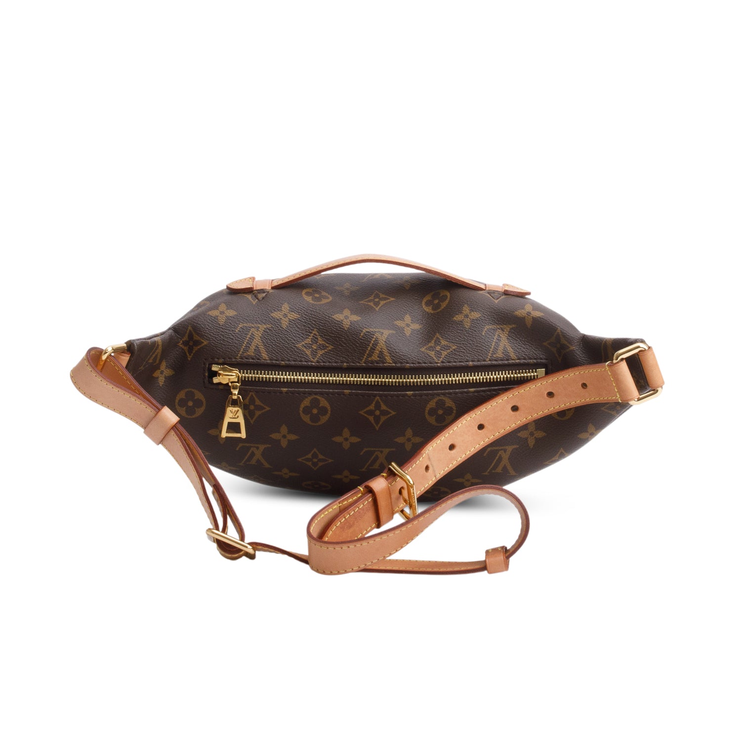 Louis Vuitton 2020 Monogram Bumbag