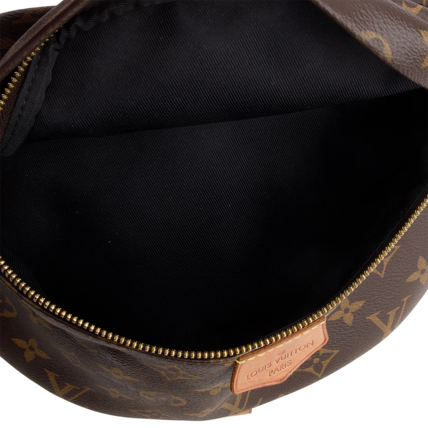 Louis Vuitton 2020 Monogram Bumbag