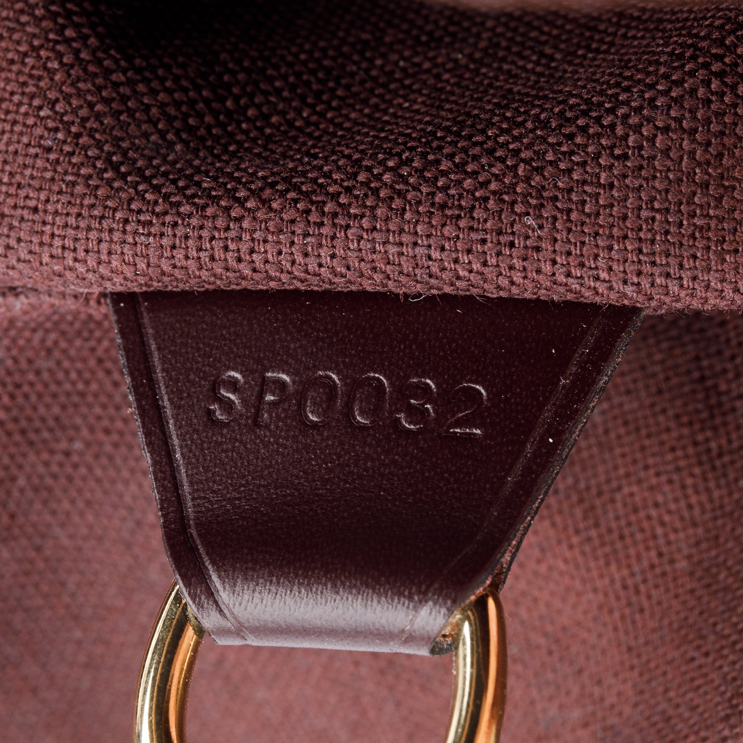 Louis Vuitton Burgundy Taiga Leather Cassiar Backpack