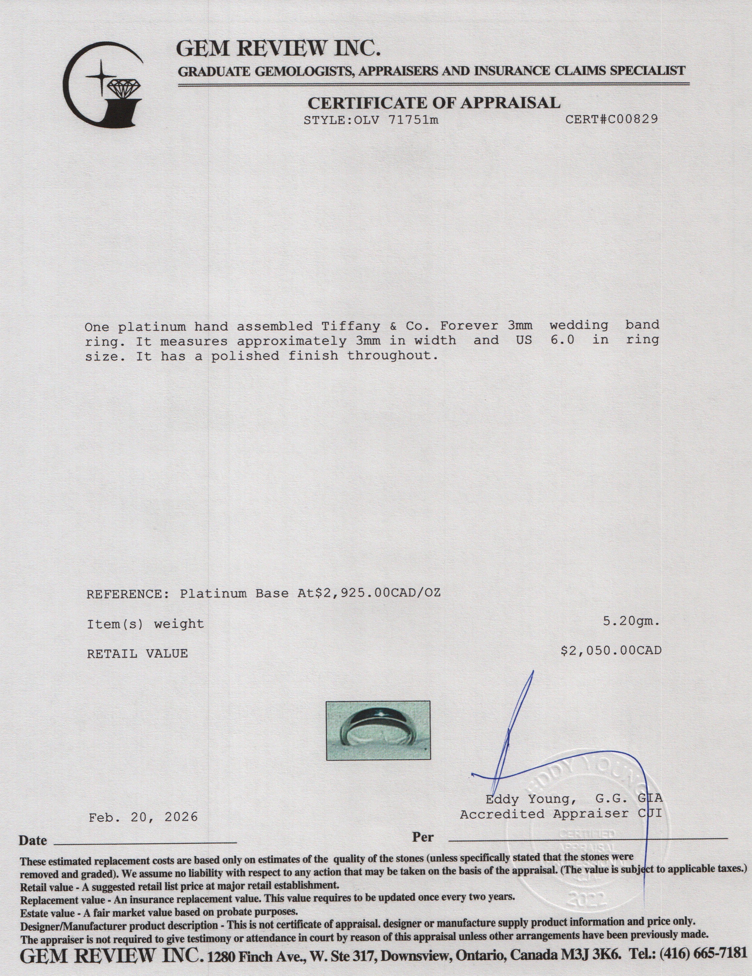 Tiffany & Co. Forever Platinum 3 MM Wedding Band Ring, Size 6