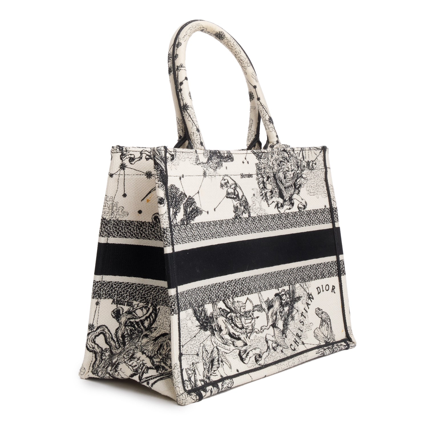 Christian Dior 2021 Canvas Embroidered Medium Zodiac Toile de Jouy Book Tote w/ Box