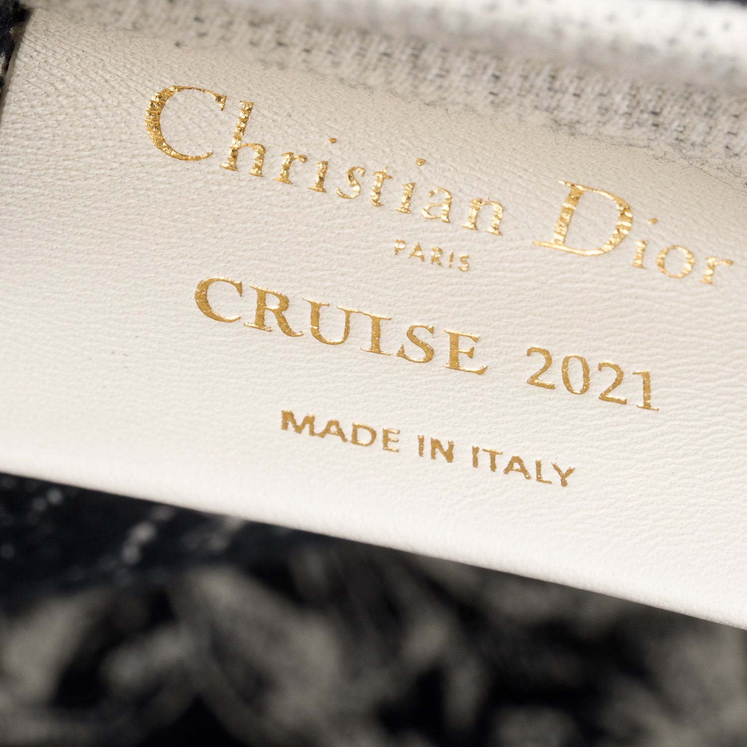 Christian Dior Beige Canvas Cruise 2021 Tote Bag