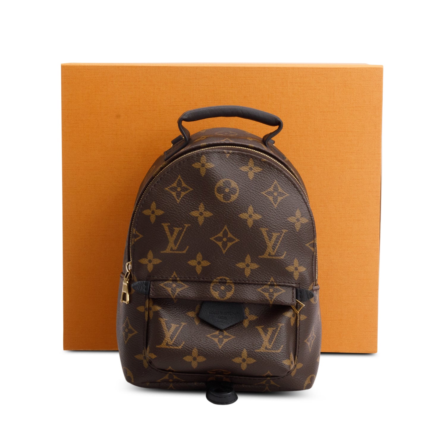 Louis Vuitton Monogram Palm Springs Mini Backpack w/ Box