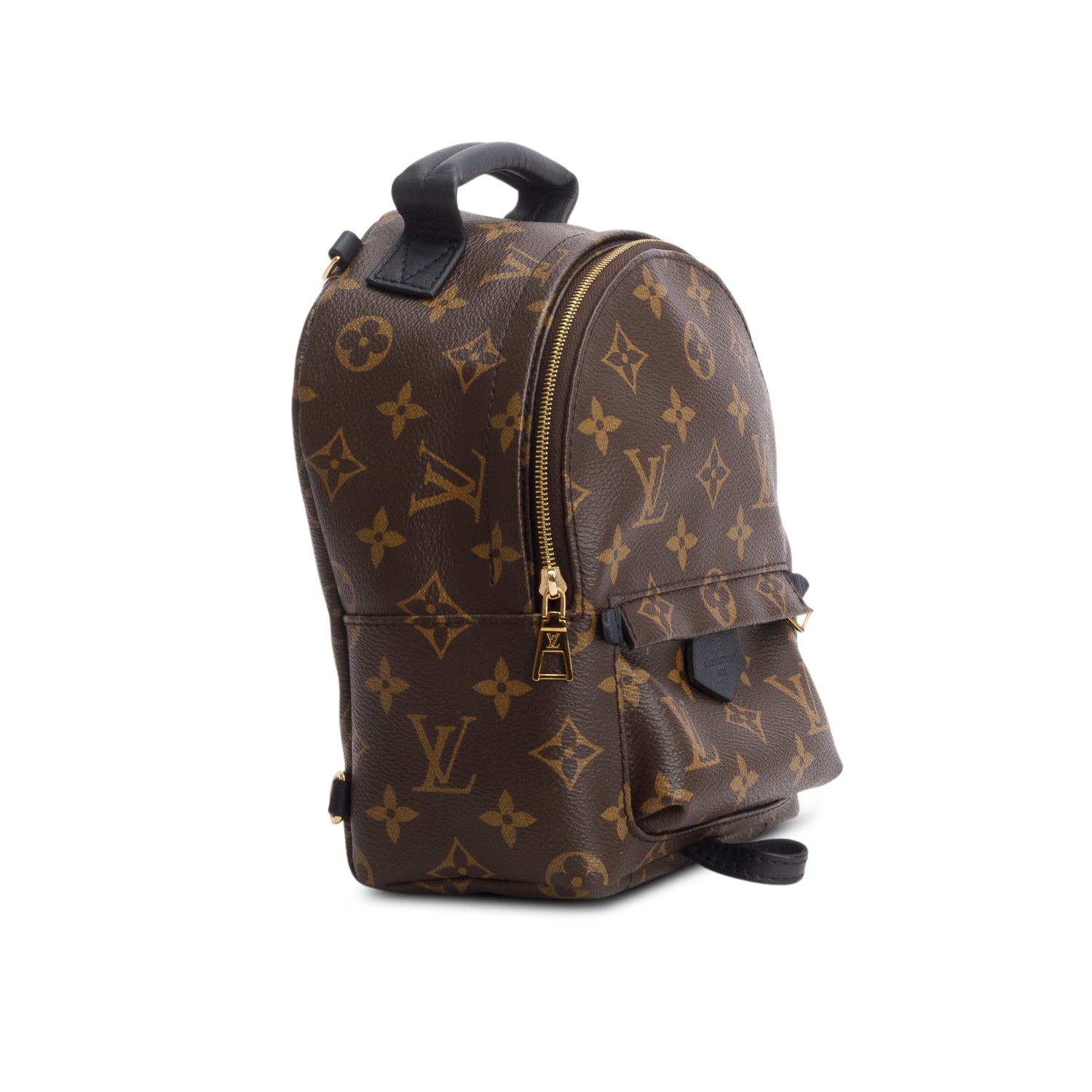 Louis Vuitton Monogram Palm Springs Mini Backpack w/ Box