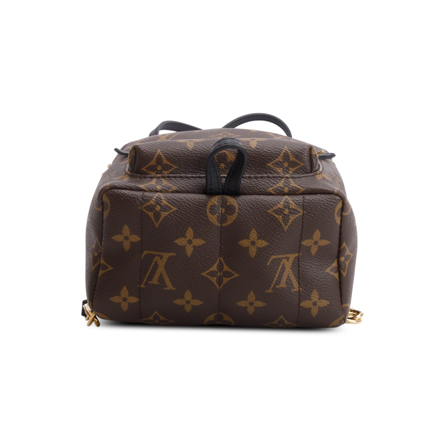 Louis Vuitton Monogram Palm Springs Mini Backpack w/ Box