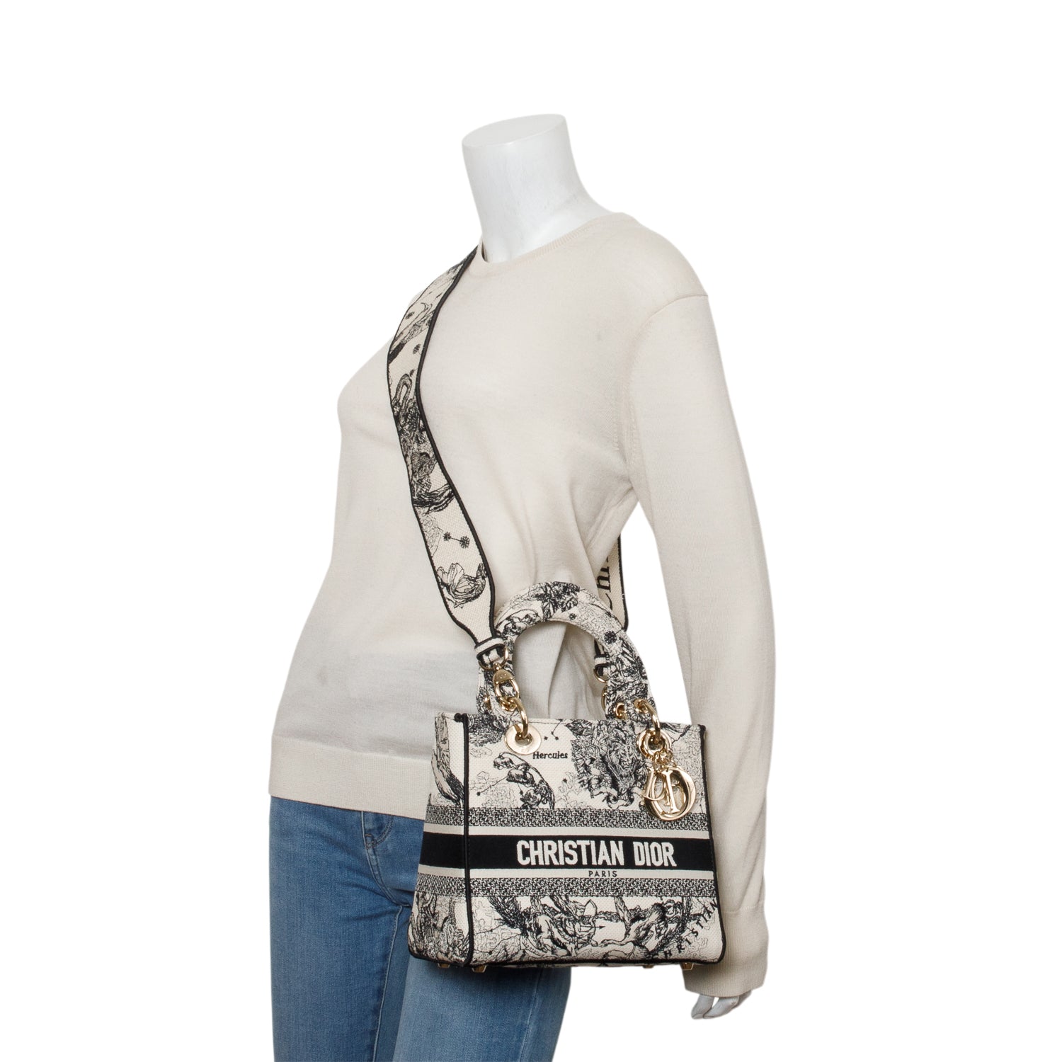 Christian Dior 2022 Blue Canvas Embroidered Zodiac Toile de Jouy Medium Lady D-Lite w/ Box, Authenticity Card & Strap