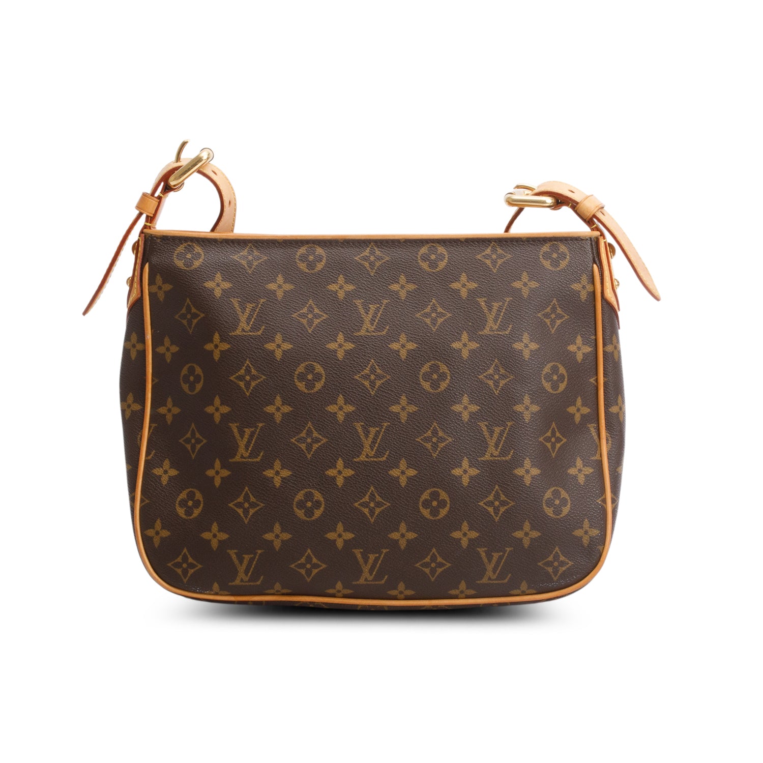 Louis Vuitton Monogram Hudson GM
