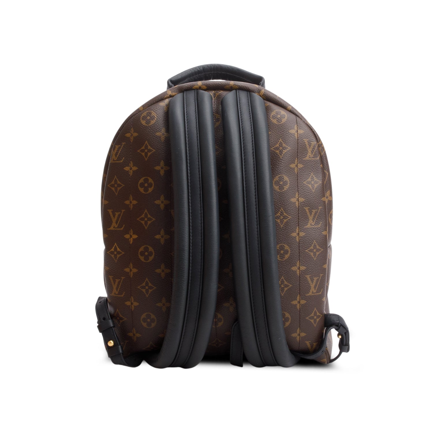 Louis Vuitton 2020 Monogram Palm Springs Backpack MM w/ Box & Receipt
