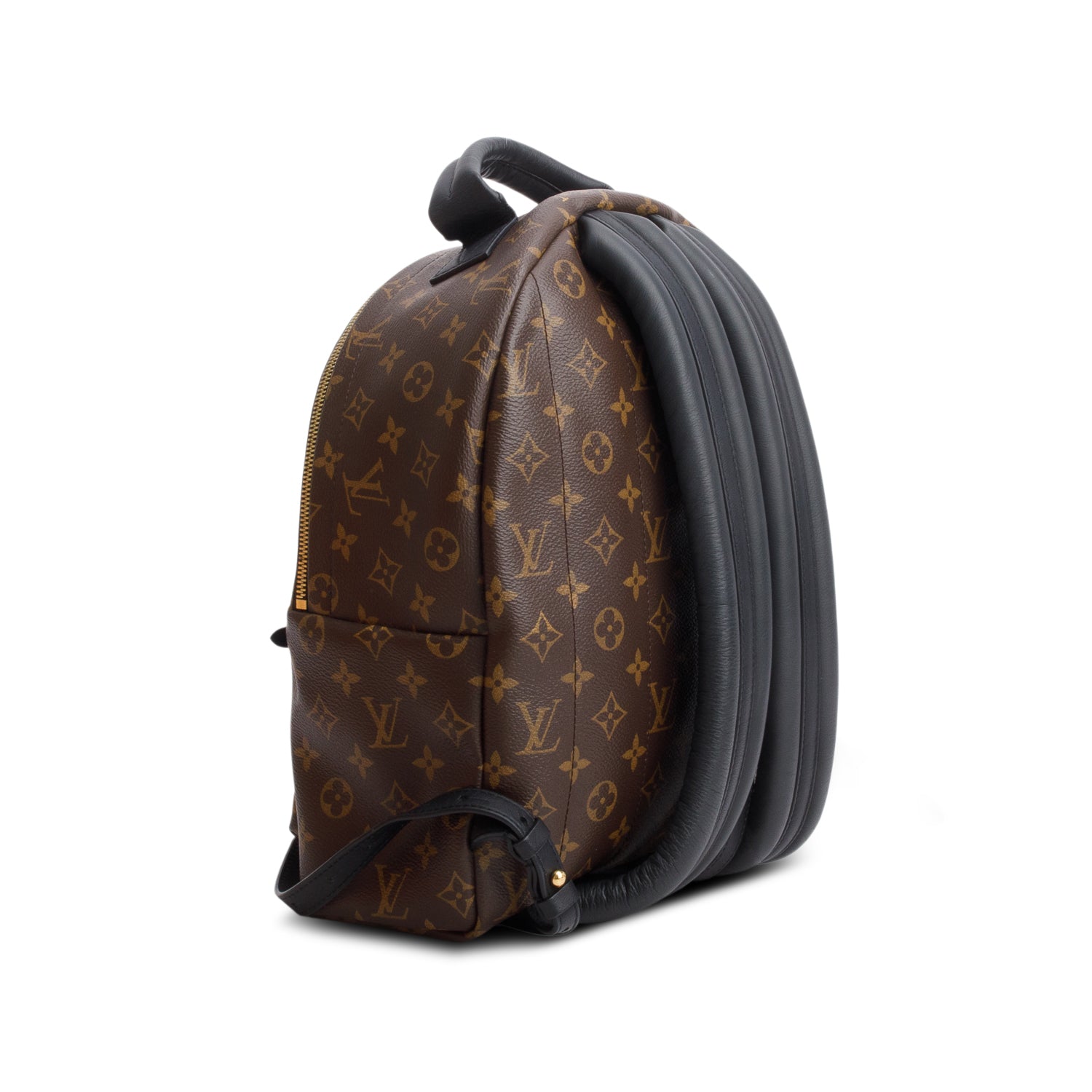 Louis Vuitton 2020 Monogram Palm Springs Backpack MM w/ Box & Receipt
