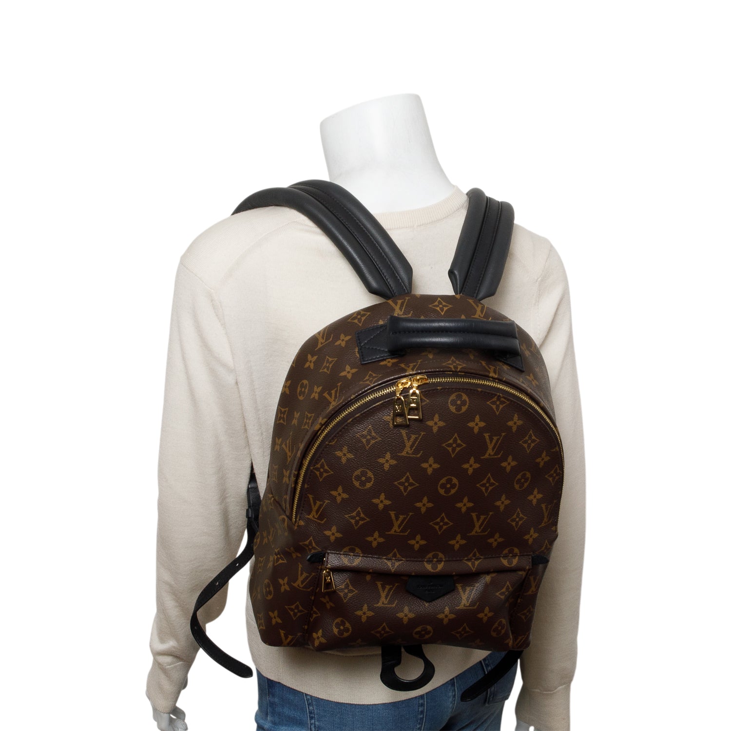 Louis Vuitton 2020 Monogram Palm Springs Backpack MM w/ Box & Receipt