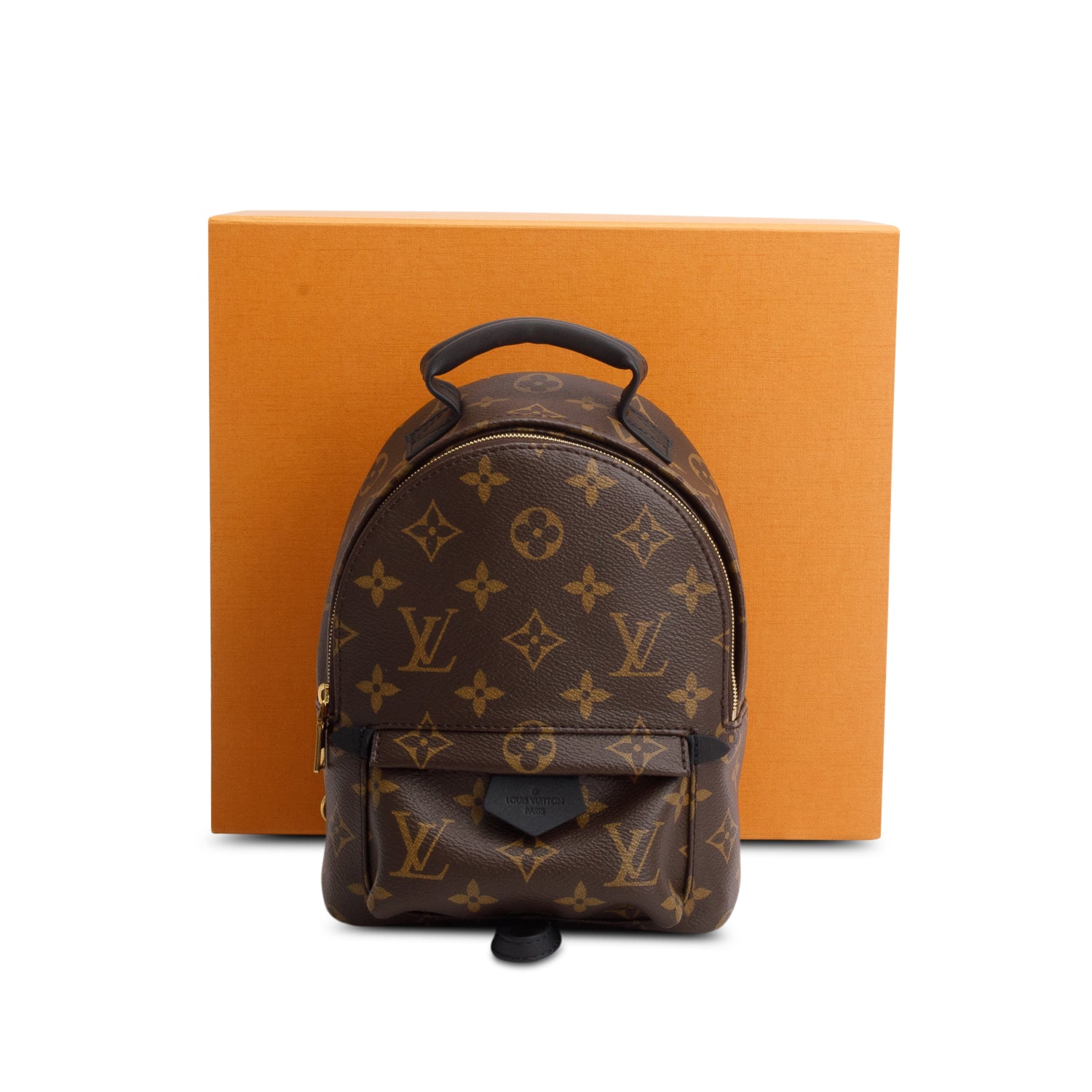 Louis Vuitton 2025 Monogram Palm Springs Mini Backpack w/ Box & Receipt