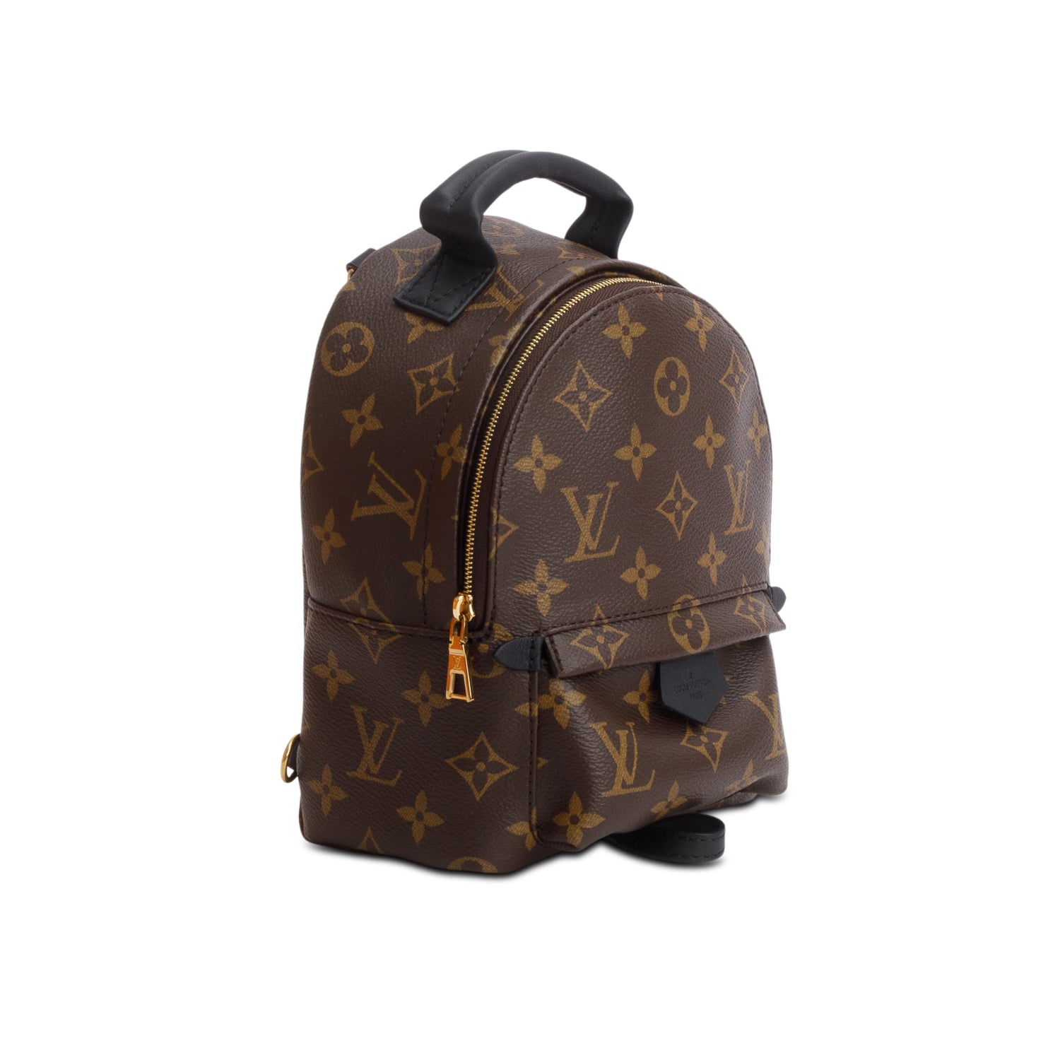 Louis Vuitton 2025 Monogram Palm Springs Mini Backpack w/ Box & Receipt