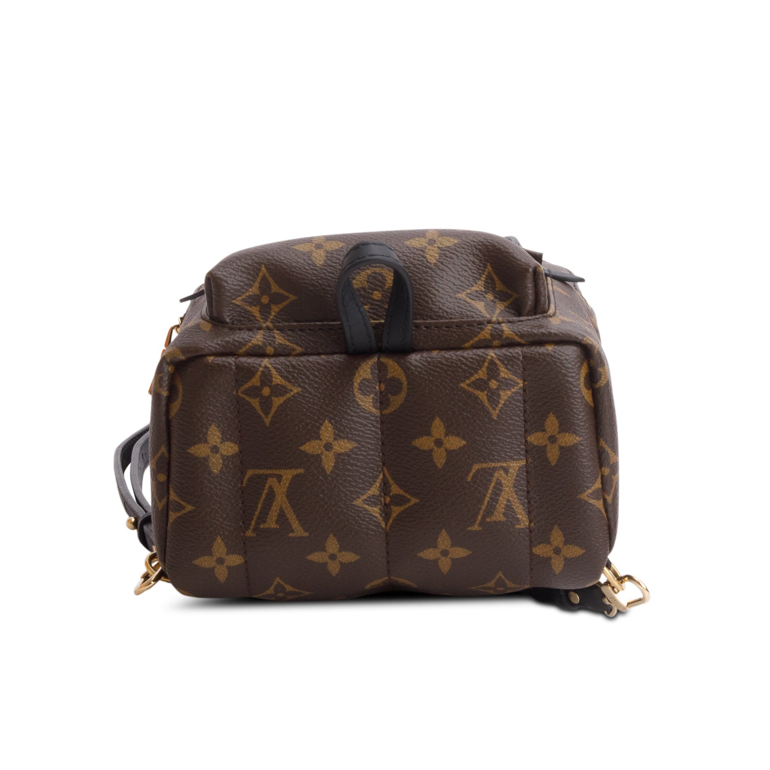 Louis Vuitton 2025 Monogram Palm Springs Mini Backpack w/ Box & Receipt