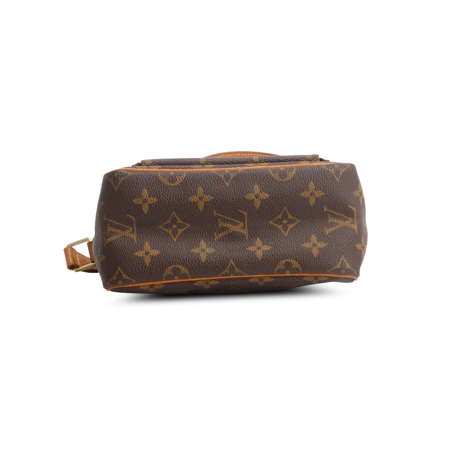 Louis Vuitton Monogram Viva Cite PM