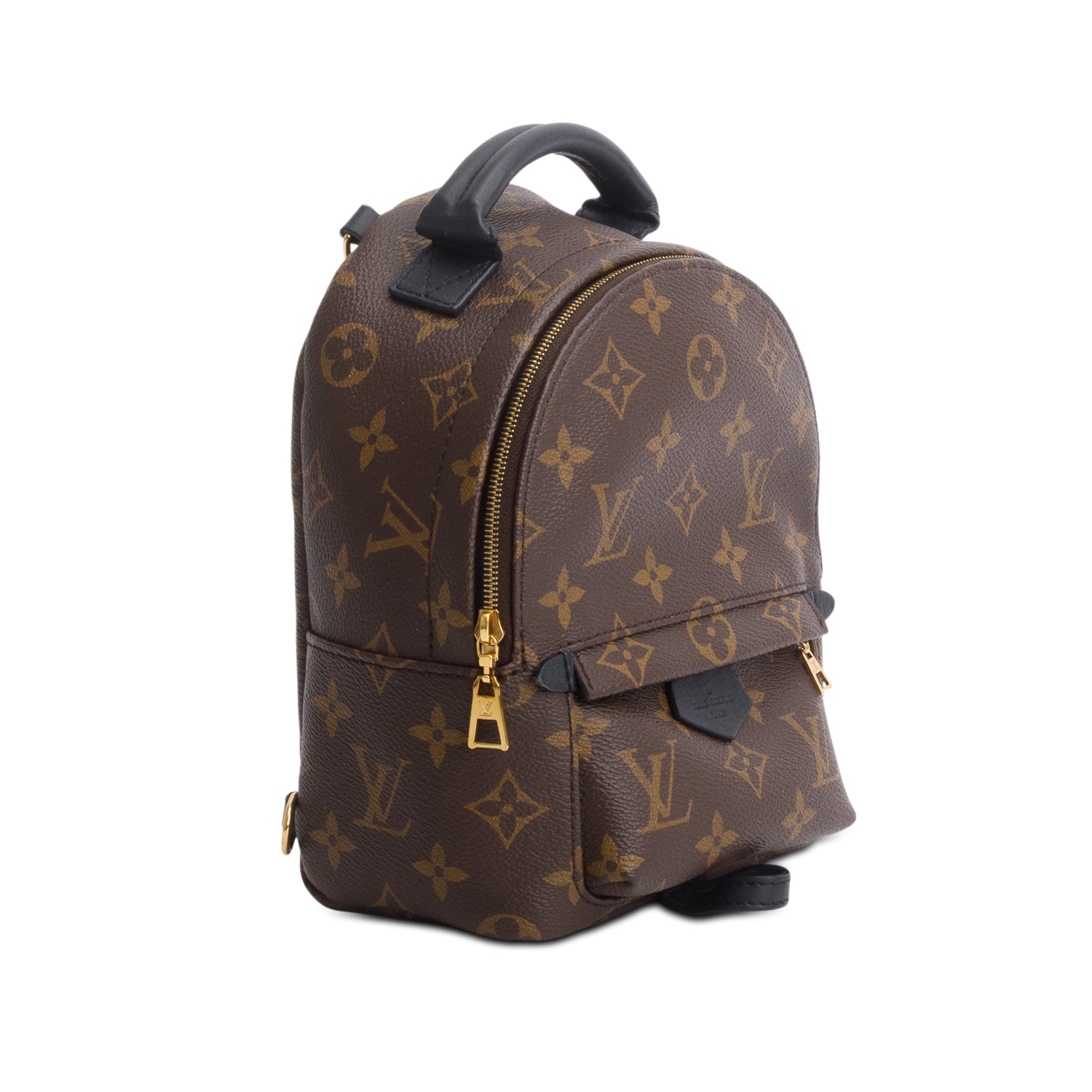 Louis Vuitton Monogram Palm Springs Mini Backpack
