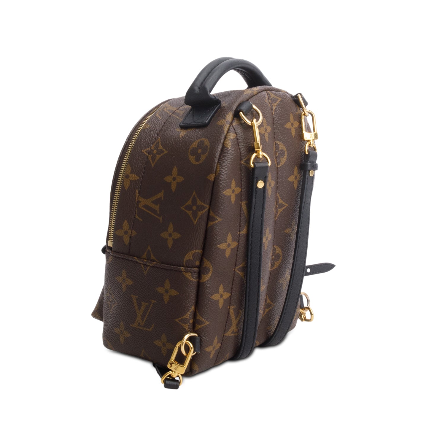 Louis Vuitton Monogram Palm Springs Mini Backpack