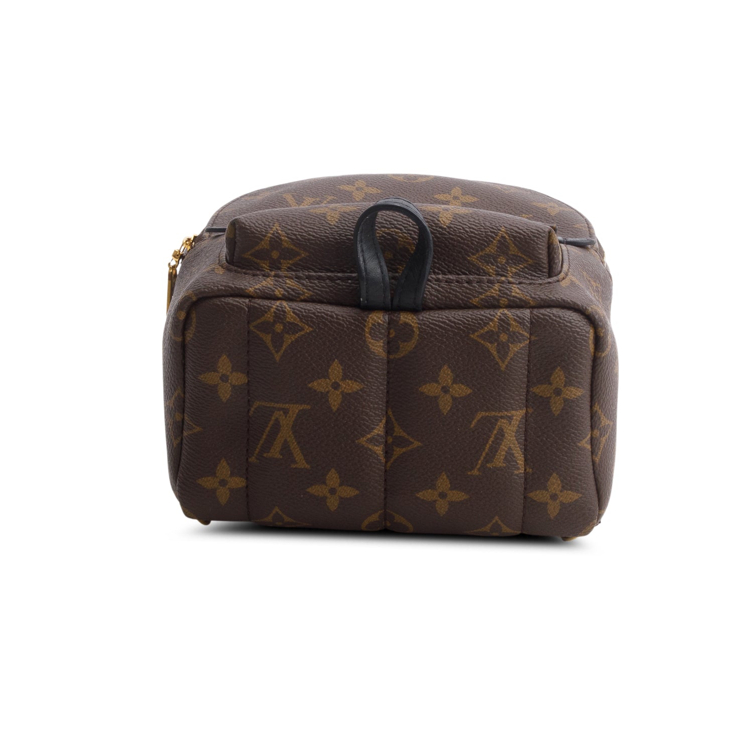 Louis Vuitton Monogram Palm Springs Mini Backpack