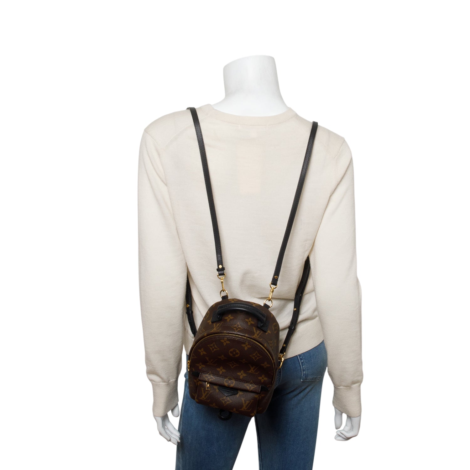 Louis Vuitton Monogram Palm Springs Mini Backpack