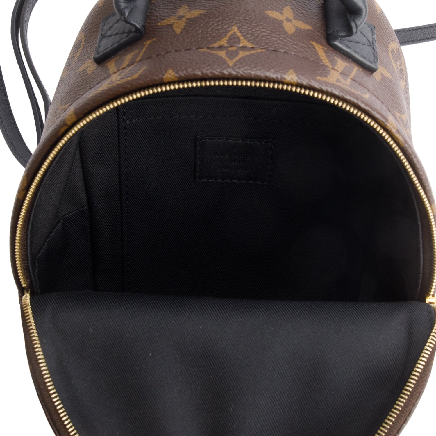 Louis Vuitton Monogram Palm Springs Mini Backpack