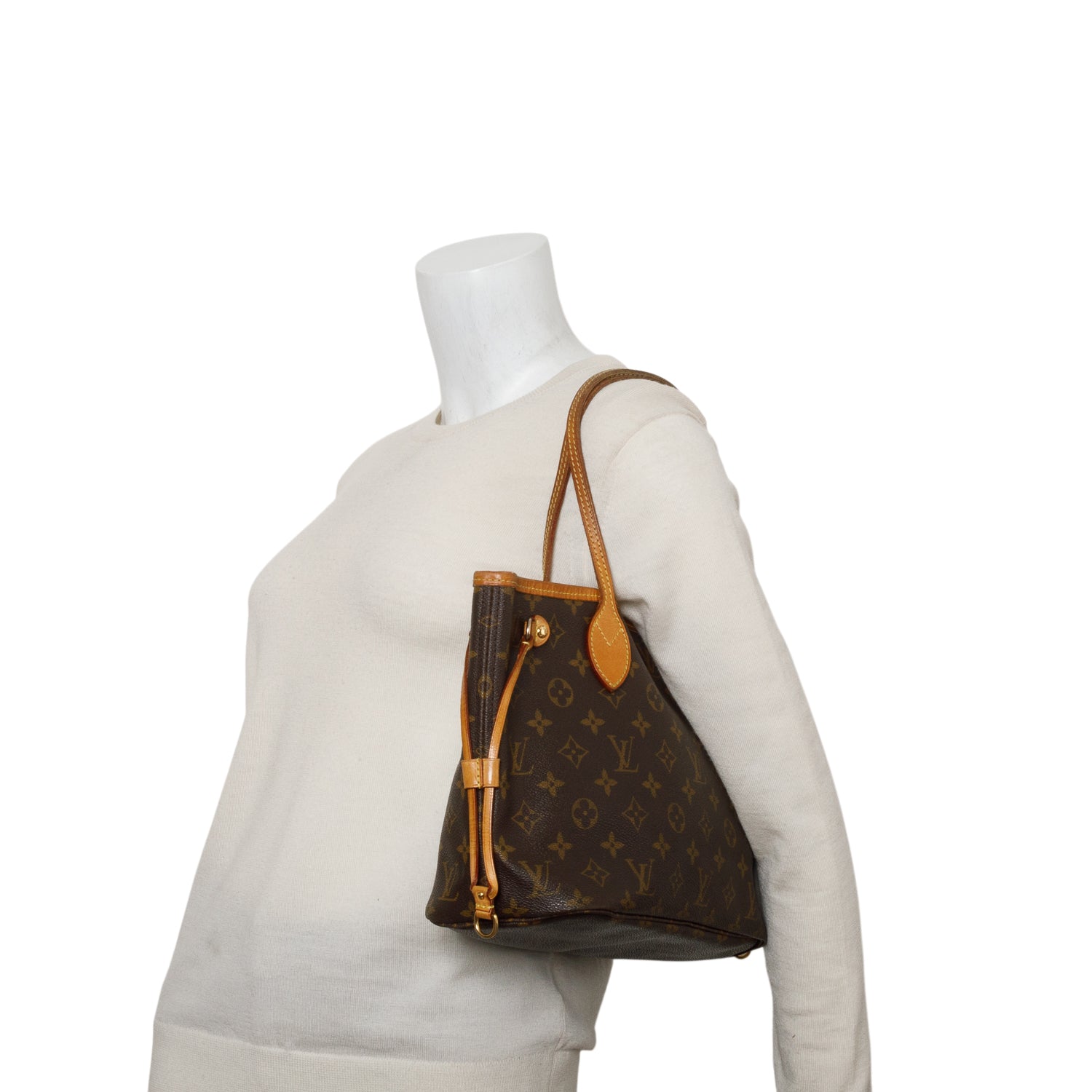 Louis Vuitton Monogram Neverfull PM