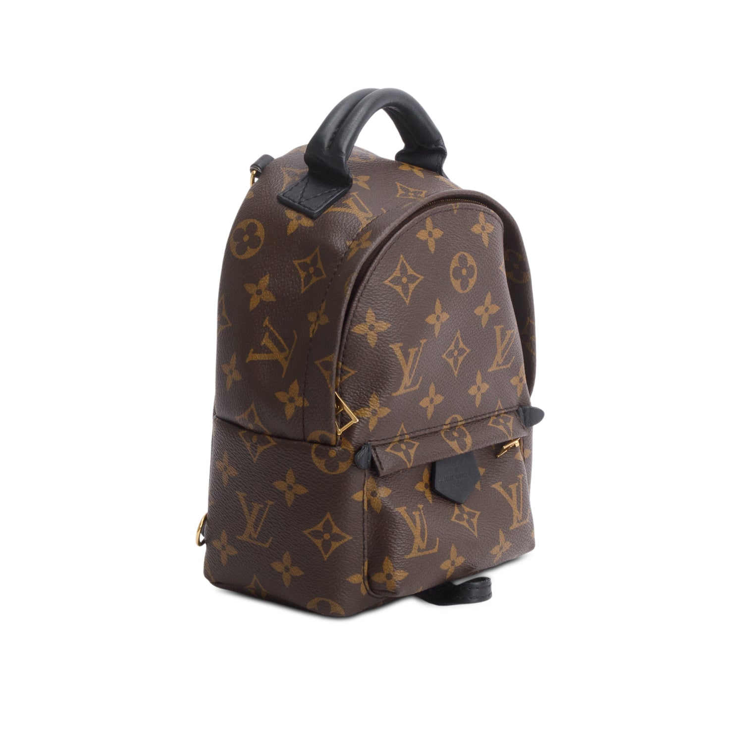 Louis Vuitton Monogram Palm Springs Mini Backpack