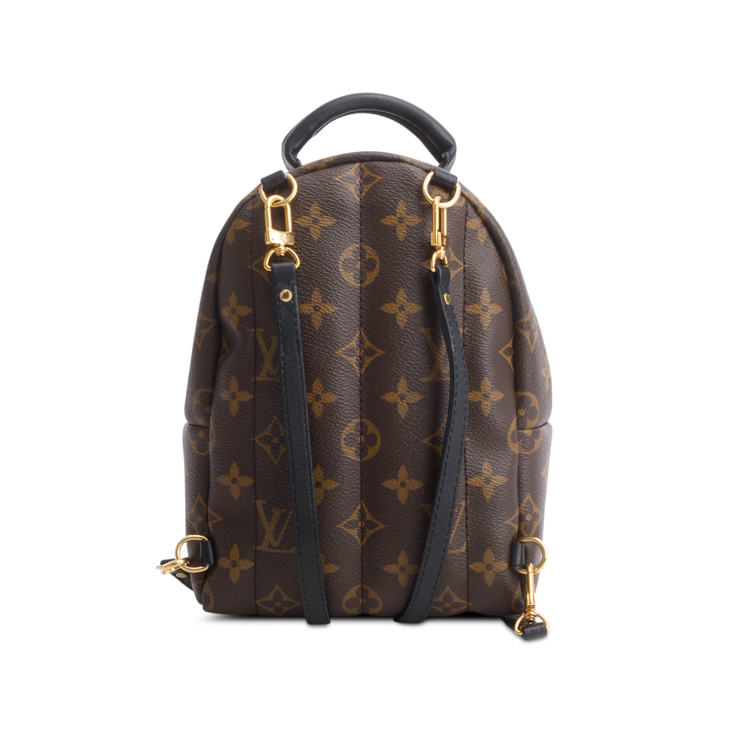 Louis Vuitton Monogram Palm Springs Mini Backpack