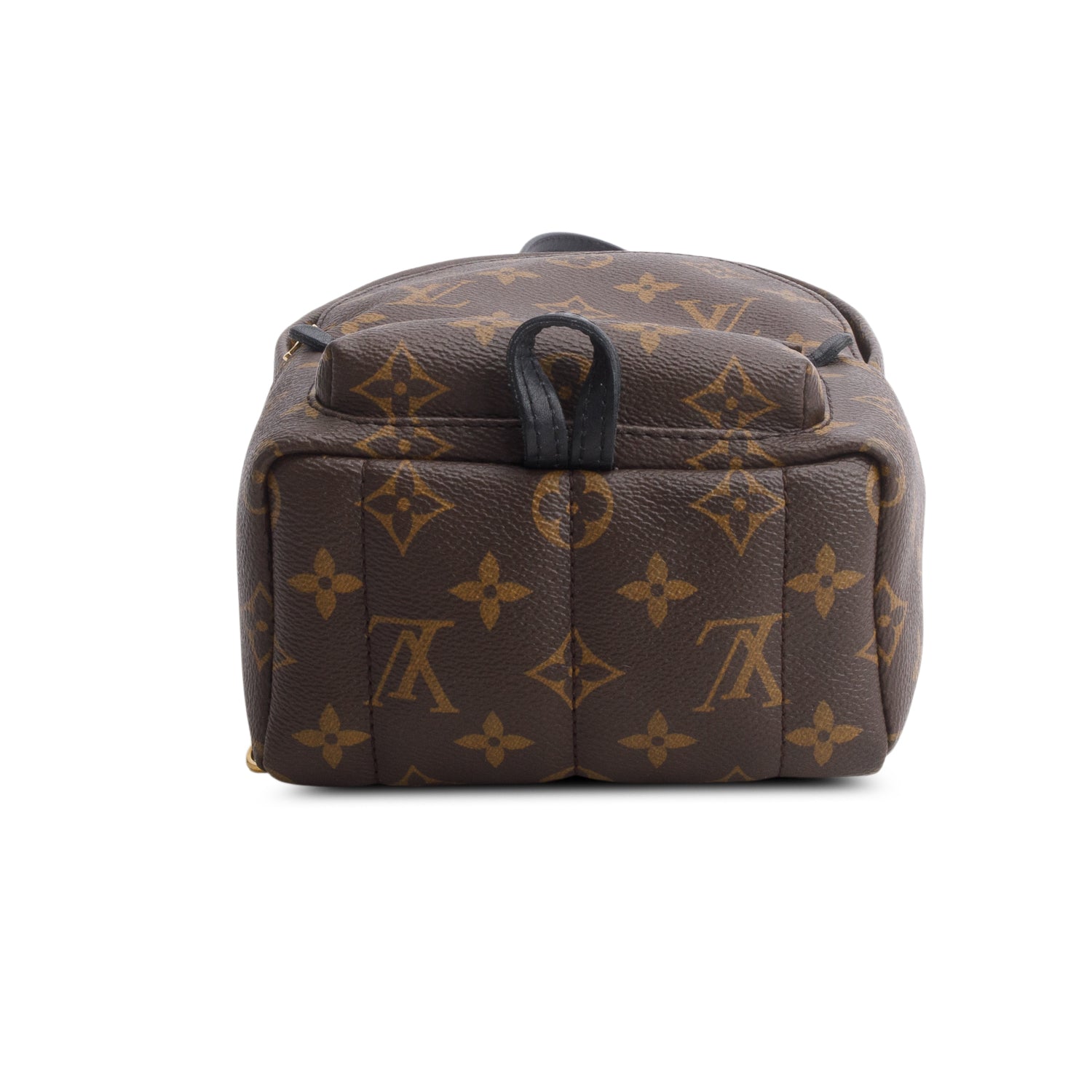 Louis Vuitton Monogram Palm Springs Mini Backpack