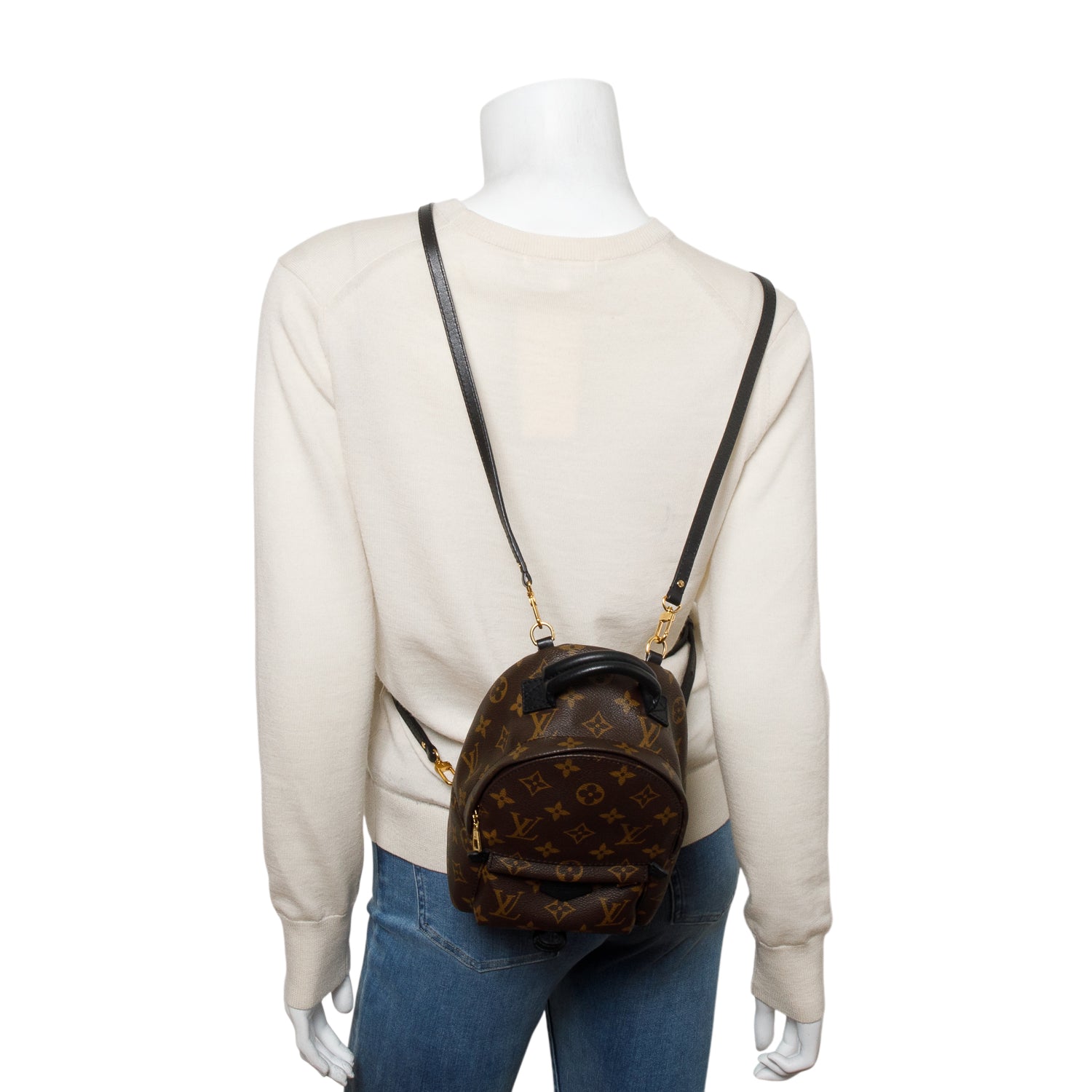 Louis Vuitton Monogram Palm Springs Mini Backpack