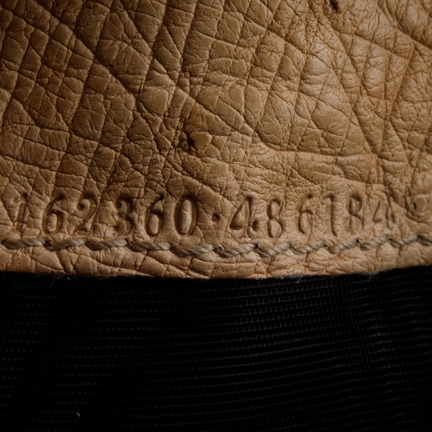 Gucci Beige Ostrich Interlocking G Britt Continental Wallet