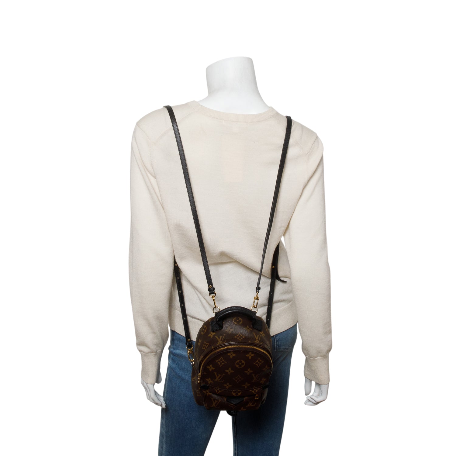Louis Vuitton Monogram Palm Springs Mini Backpack