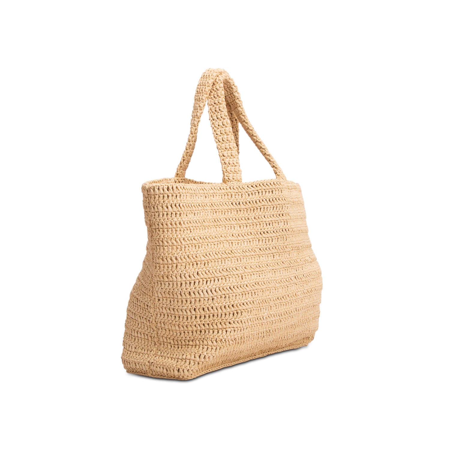 Saint Laurent 2023 Raffia Rive Gauche Tote Bag