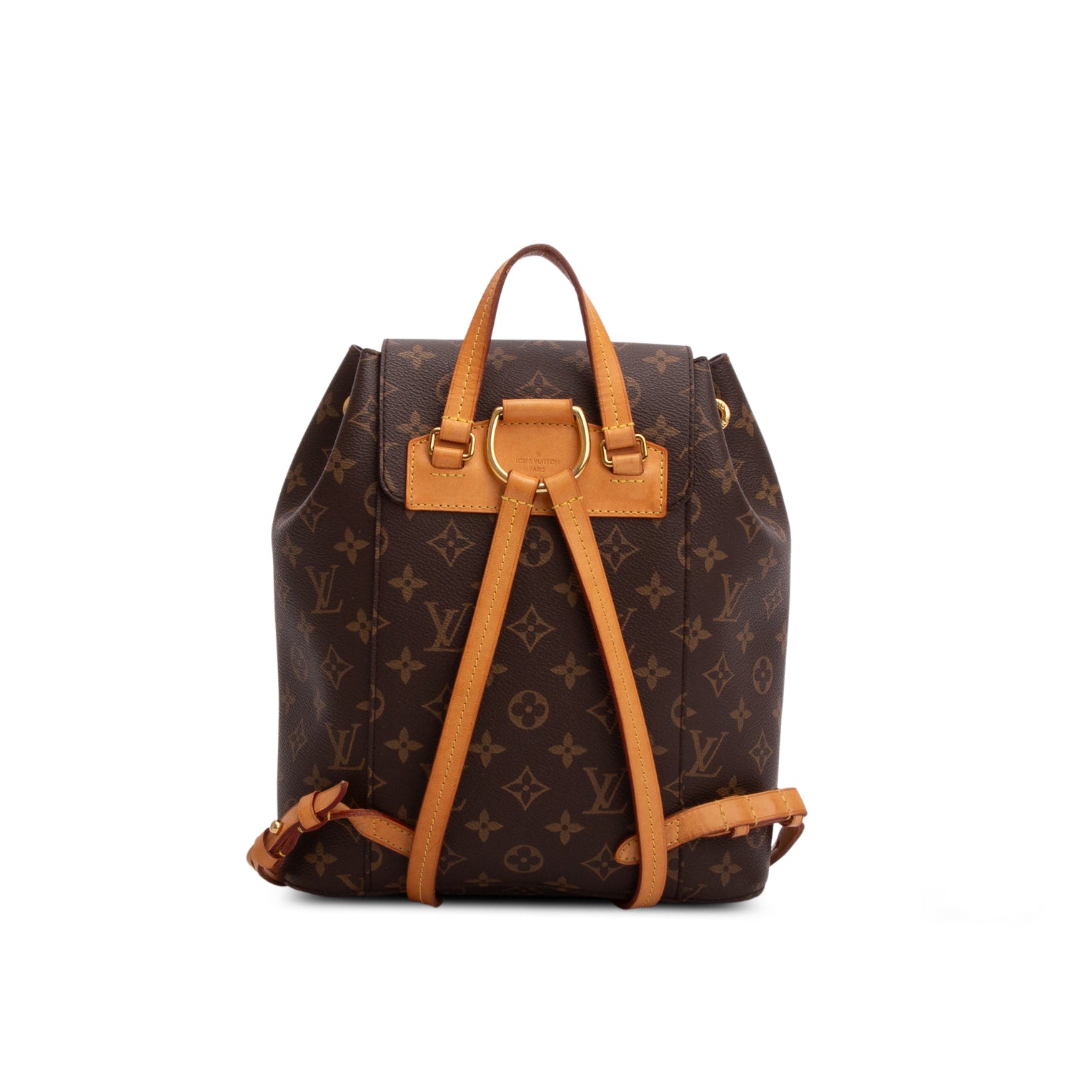 Louis Vuitton Monogram Montsouris PM Backpack