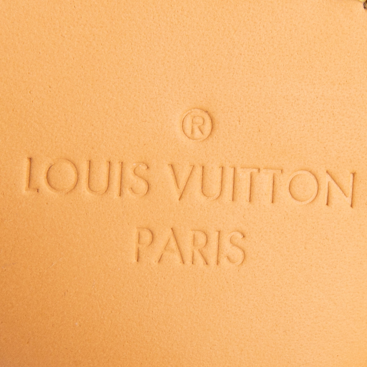 Louis Vuitton Monogram Boulogne PM w/ Straps