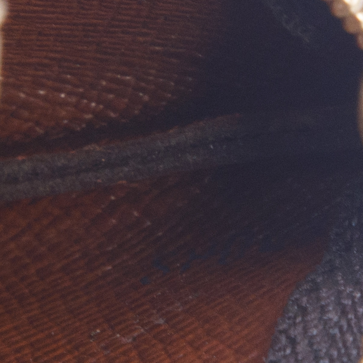 Louis Vuitton Monogram Key Pouch