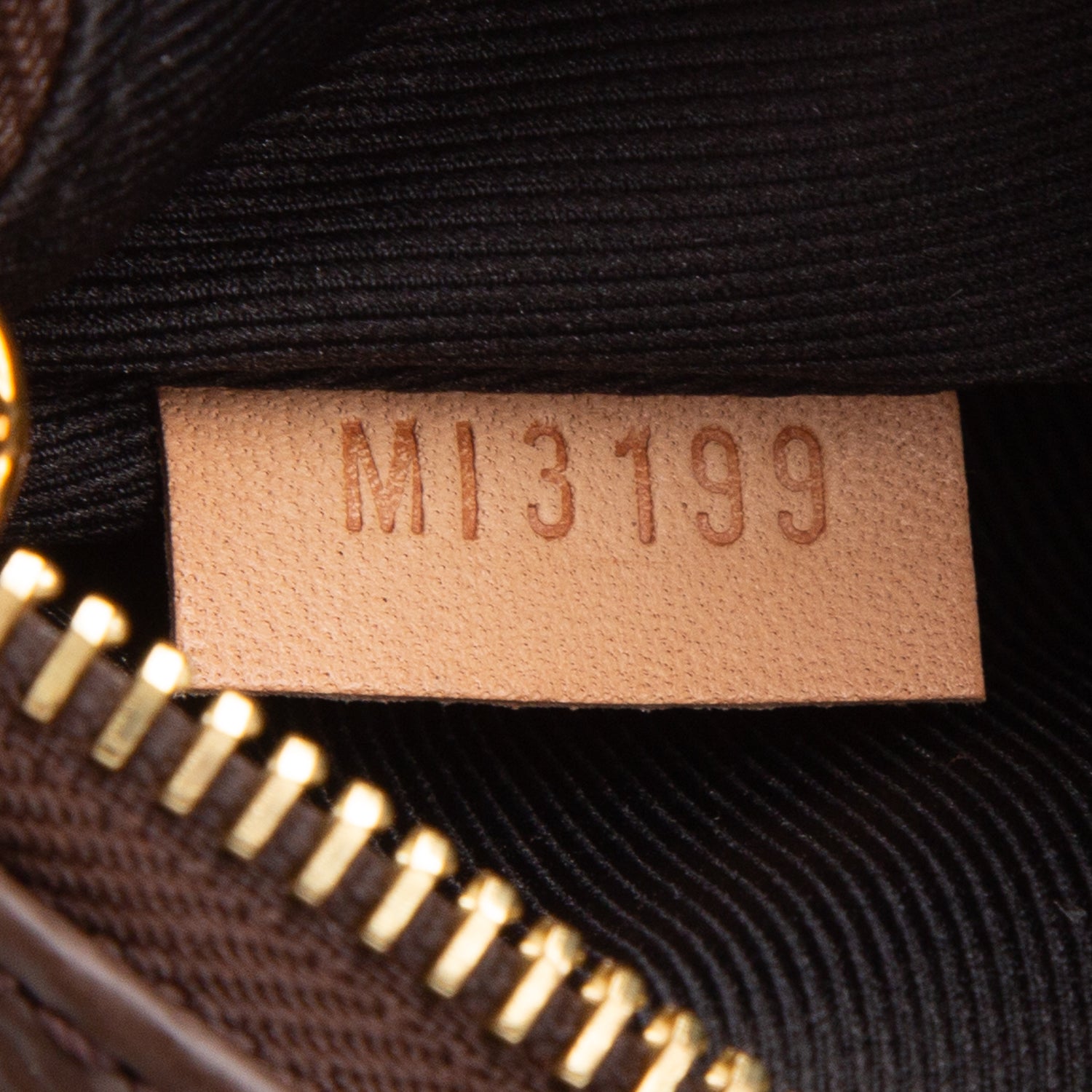 Louis Vuitton Monogram Bumbag