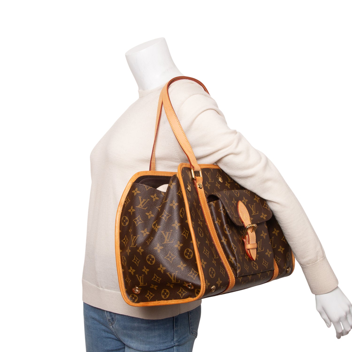 Louis Vuitton Monogram Baxter GM Dog Pet Carrier
