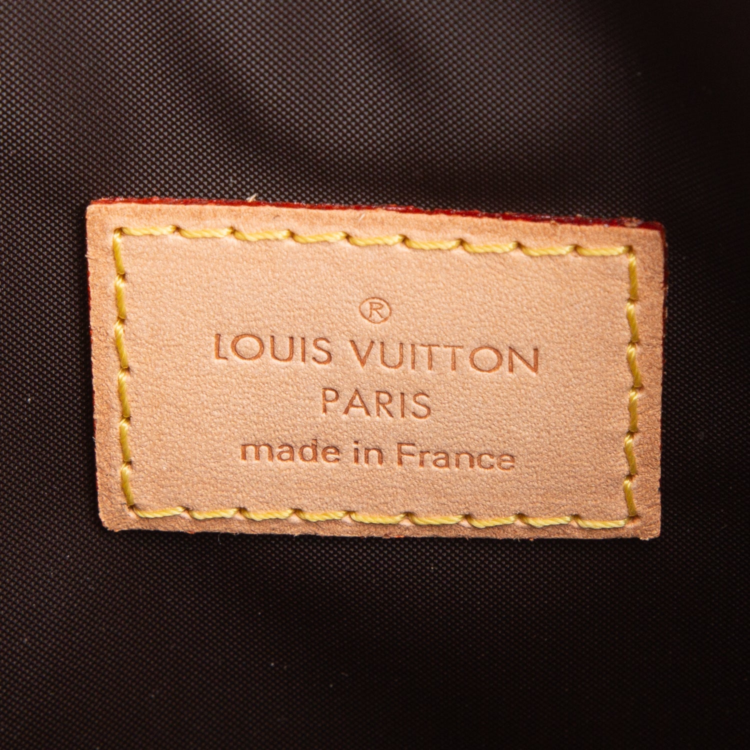 Louis Vuitton Monogram Baxter GM Dog Pet Carrier