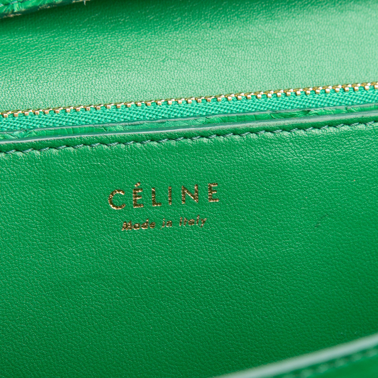 Celine Green Python Medium Classic Box Flap Bag