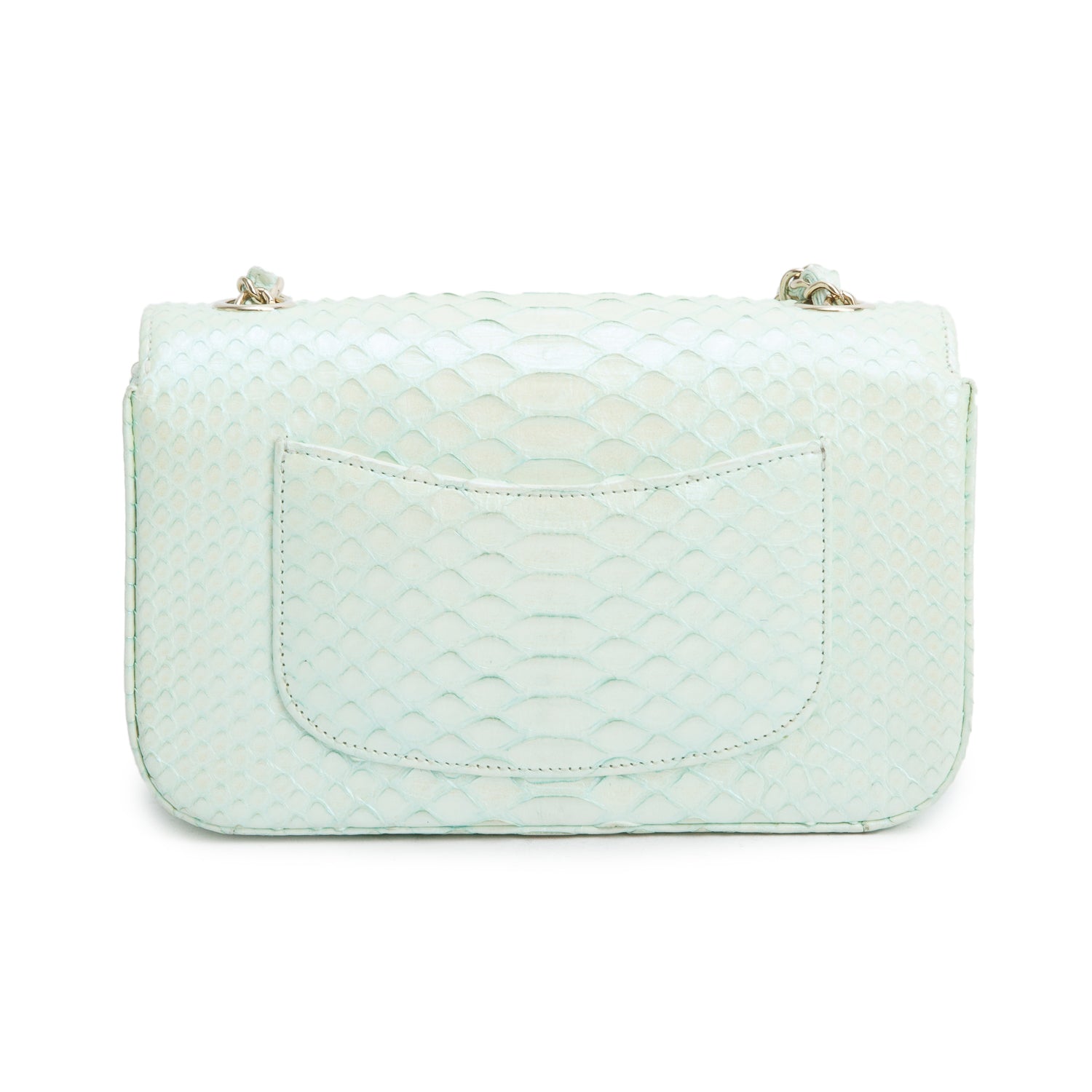 Chanel Green Iridescent Python Mini Single Flap w/ Authenticity Card